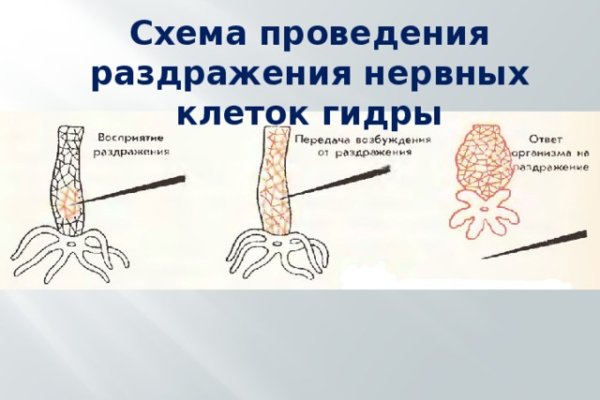 Кракен сайт 18