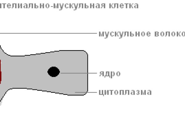 Кракен маркетплейс про
