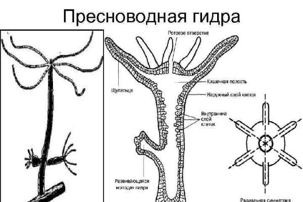 Кракен ссылка зайти