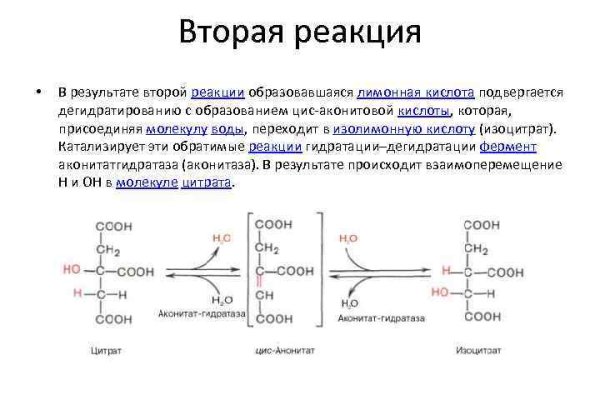 Зайти на кракен через браузер